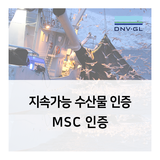 [지속가능 수산물] MSC 인증이란?