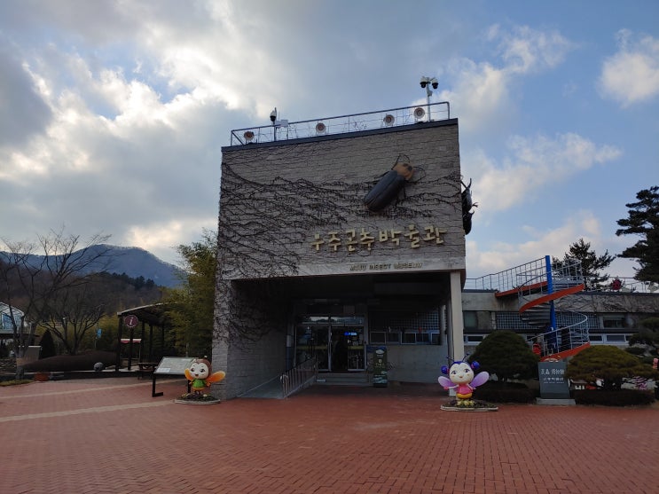  전북 무주 곤충 박물관 반디랜드 관람 후기 아이들데리고 가볼만한 곳