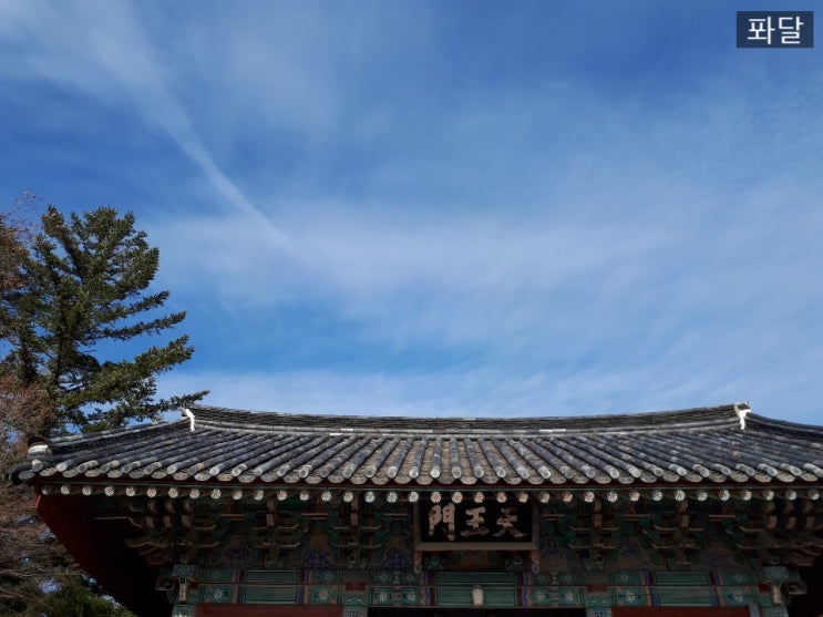  [하루묻답] 책읽기가 가장 쉬운 시작이다. by 퐈이어맨 달파소