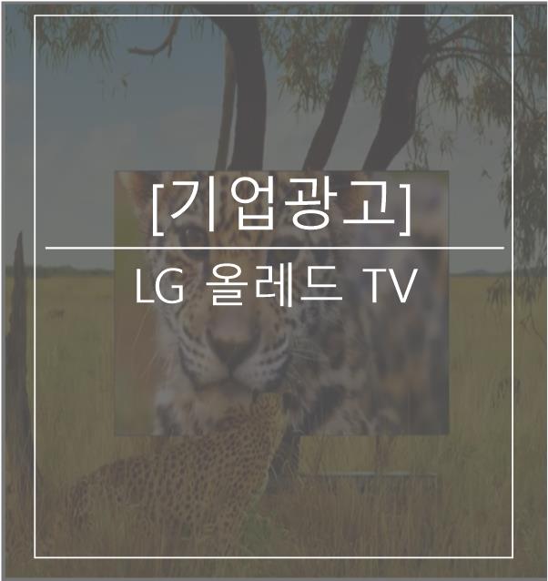 [광고스크랩/기업광고] LG 올레드 TV -지구의 한조각편