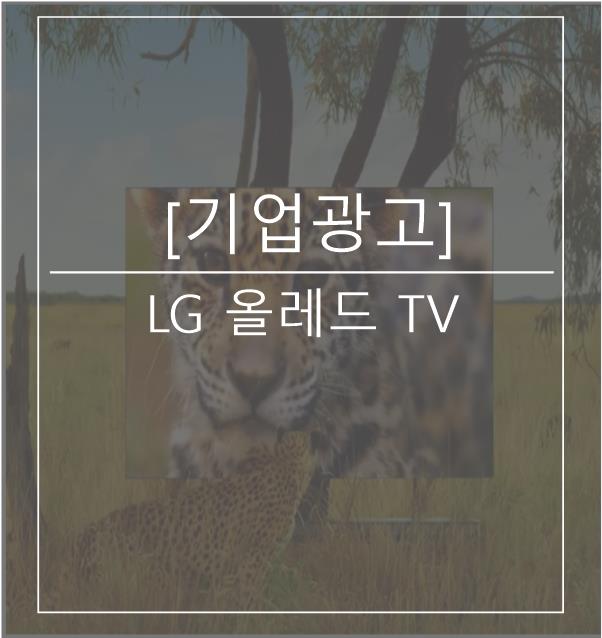  [광고스크랩/기업광고] LG 올레드 TV -지구의 한조각편