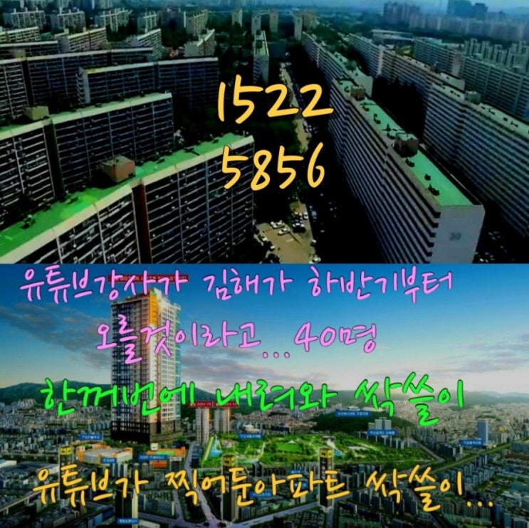  연이은 부동산 규제로 40명 한꺼번에 내려와 유튜버가 찍어준 아파트 싹쓸이....