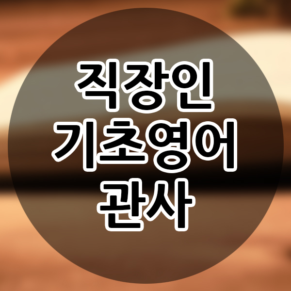  직장인 기초영어개념 관사 초등학교 영어 공부 영어공부 시작하기 사회인영어 비즈니스기초영어