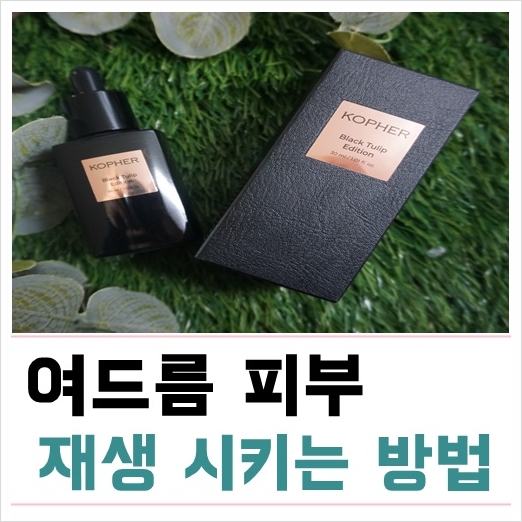  피부장벽강화  블랙튤립앰플 고민 끝