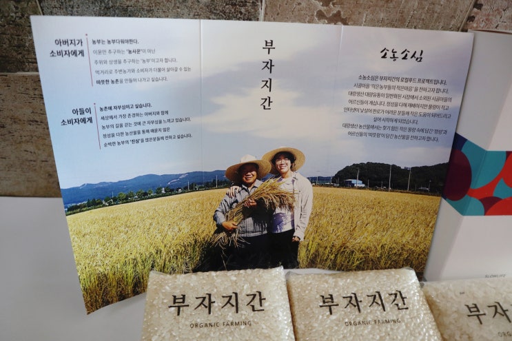  [부자지간 고시히카리 강화섬쌀 후기]밥맛 좋은 쌀 추천