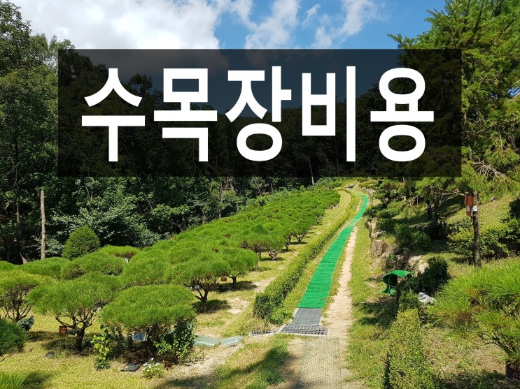  수목장비용 , 수목장이란 무엇인지 정리해 보았습니다.