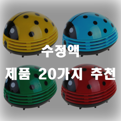 수정액으로 잘못쓴 정보를 지워보세요~