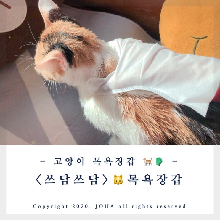  고양이목욕용품 <고양이 목욕장갑> 쓰담쓰담 전신목욕장갑으로 쉽게 고양이씻기는법!