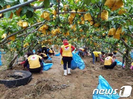 농작물재해보험 상품 13일부터 판매 농작물재해보험 상품 13일부터 판매