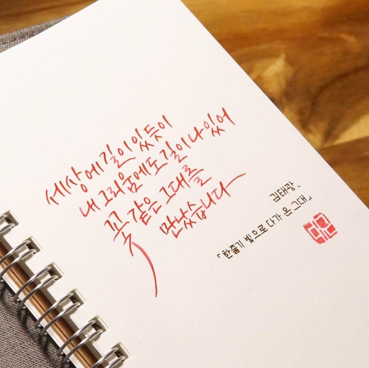  내 그리움에도 길이 나있다 (파이롯트 커스텀 742 fa닙)