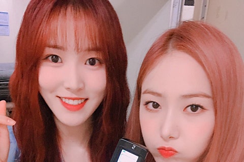 버디아이즈 이미지