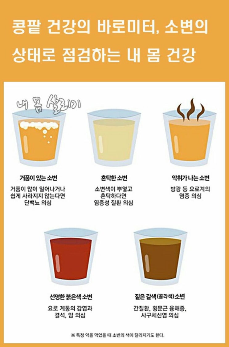   콩팥 건강의 바로미터, 소변의 상태로 점검하는  내 몸 건강 