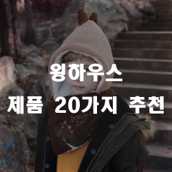  윙하우스 추천 제품 리스트 20가지 입니다~
