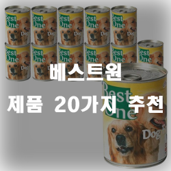  베스트원 제품 추천 리스트 모음 입니다~