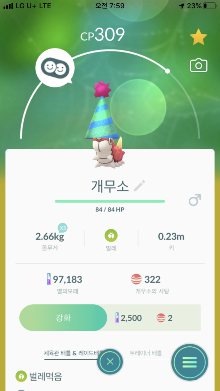  꼬깔모자를 쓴 개무소