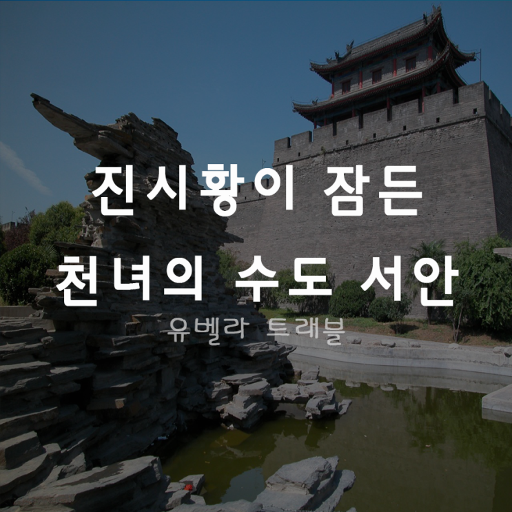  [부산출발] 중국 서안 병마용 패키지 여행 에어부산