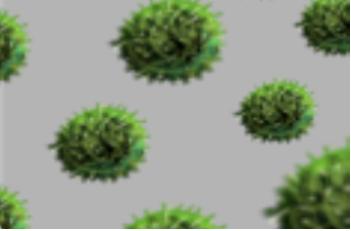  HIV 초기 증상 hiv 감염경로 상식