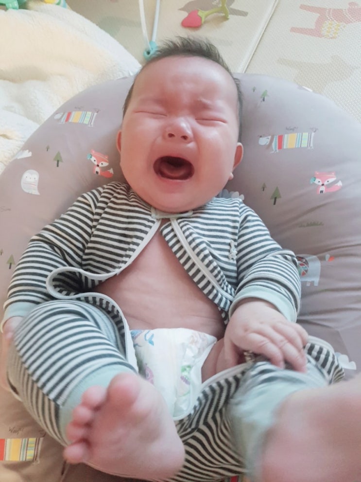  6개월 자주 게우는 아기/분유바꾸기/아기 변비
