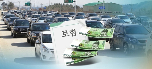 “자동차보험 손해율 악화의 주범은 한방진료”…고개 드는 한방진료 제외론 “자동차보험 손해율 악화의 주범은 한방진료”…고개 드는 한방진료 제외론
