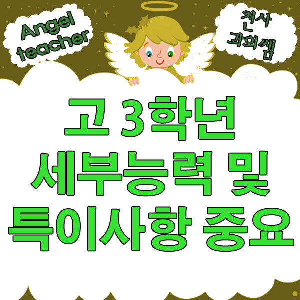 고 3학년 비교과에서 세부능력 및 특이사항의 중요도는?