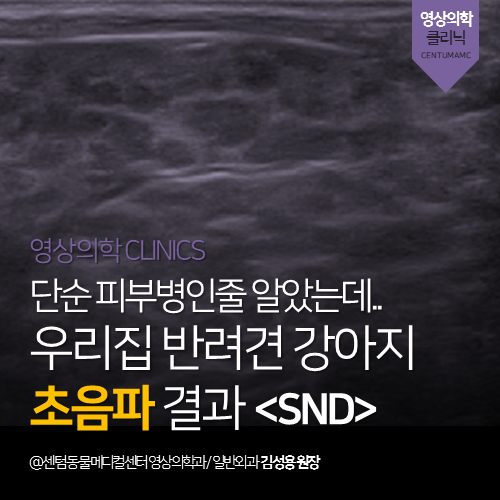  [영상의학과] 단순 피부병인줄 알았는데.. 우리집 반려견 강아지 초음파 결과 <SND> (부산 남구 대연동 문현동 용호동 24시 동물병원)