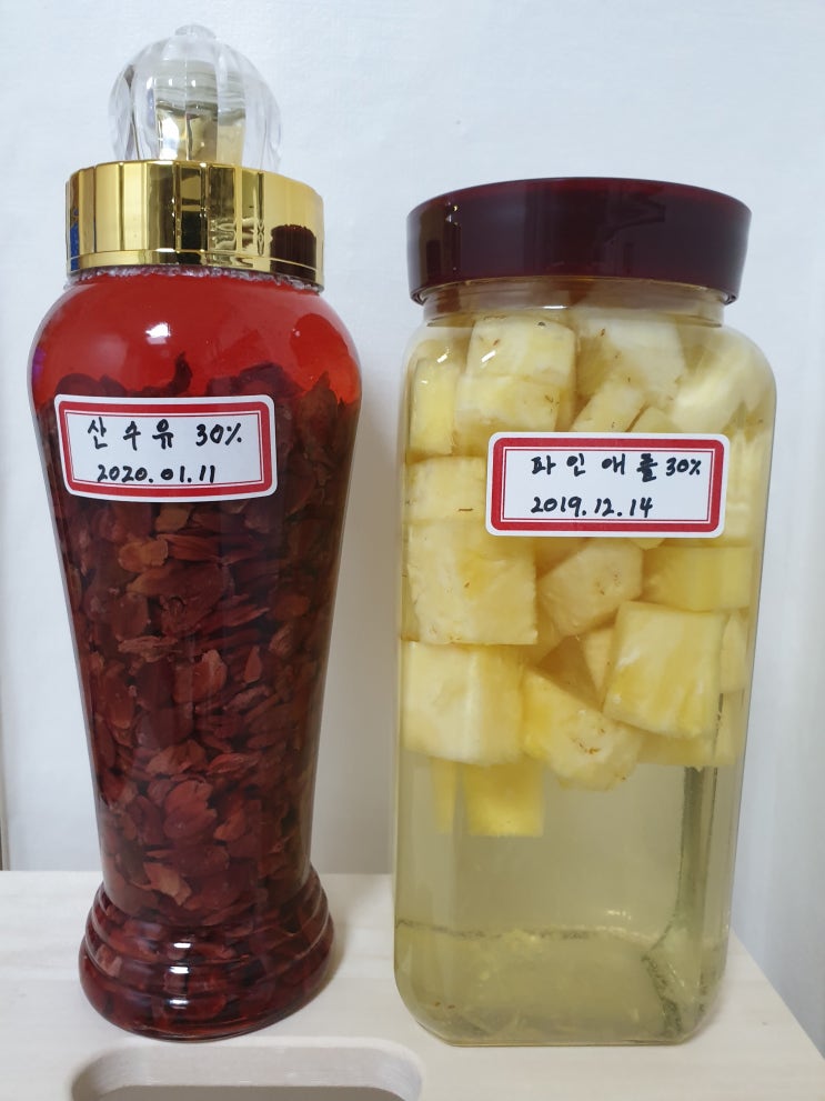  담금주 담그기 모음 (산수유주, 파인애플주, 녹각영지버섯주, 체리주)