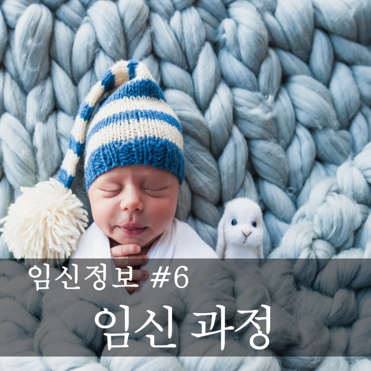 [임신정보] 예비 엄마,아빠의 임신공부  -임신 과정