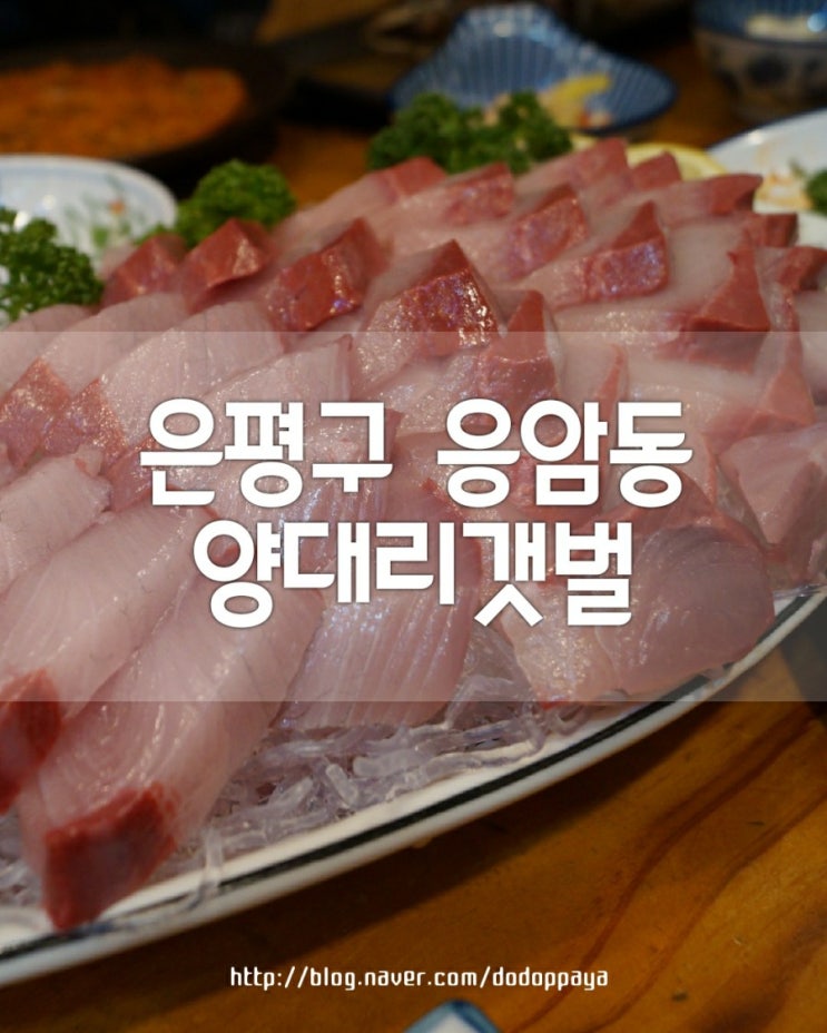  은평구횟집 양대리갯벌에서 대방어 드세요!