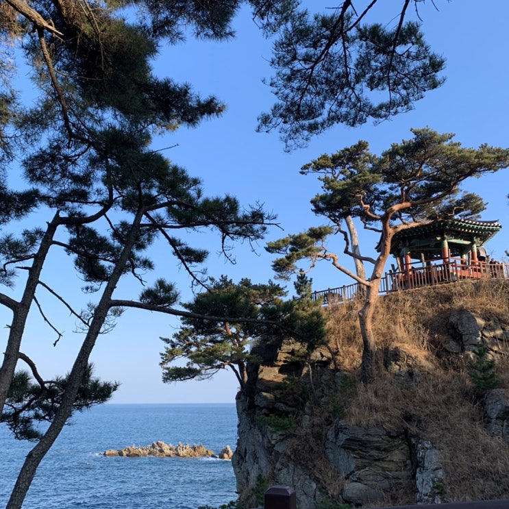  우당탕 속초 당일치기 여행