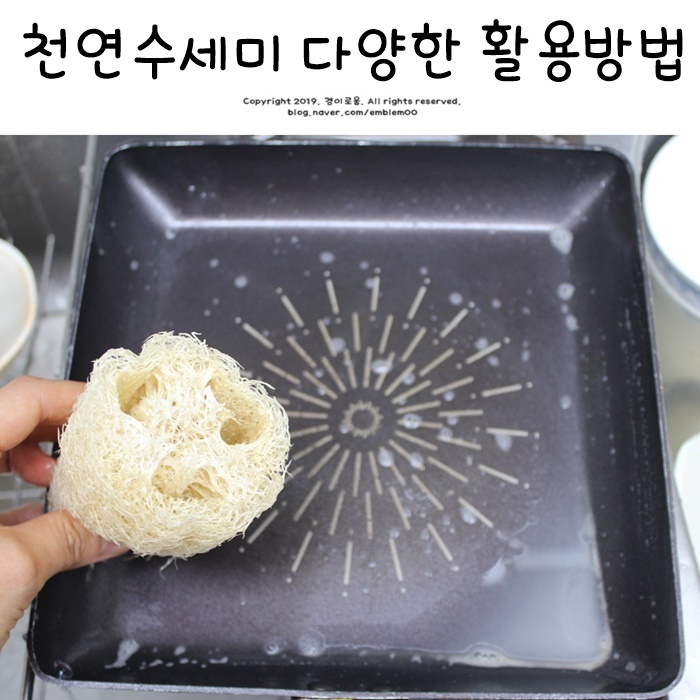 천연수세미 친환경 다양한 활용방법 미니멀라이프 제로웨이스트 살림 천연수세미 친환경 다양한 활용방법 미니멀라이프 제로웨이스트 살림
