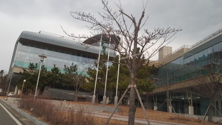 양남나아리 월성스포츠센터에서 운동하고 건강해지기