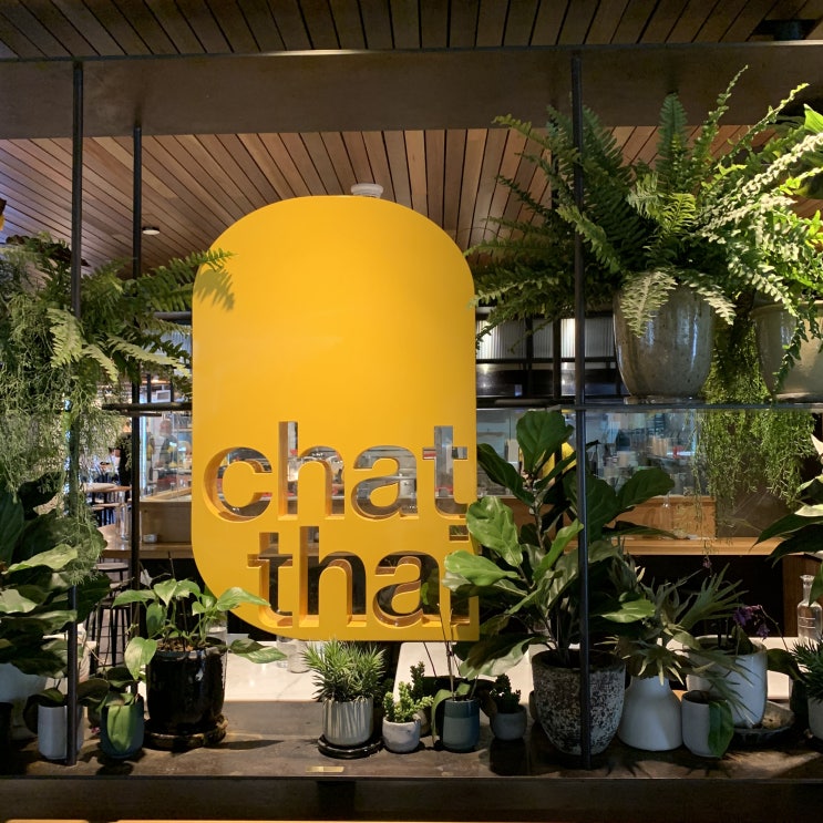 [시드니맛집/서큘러키맛집] 시드니 팟타이가 맛있는 맛집 찻타이/쳇타이 'Chat Thai'