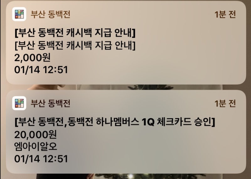 동백전 캐시백 받은 후기 (부산동백전 사용방법, 발급방법, 동백전혜택 소득공제30%, 삼성페이 엘지페이 등록 가능) : 네이버 블로그