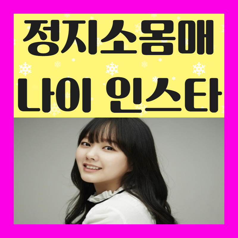 정지소몸매 나이 인스타