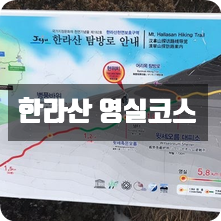 한라산 영실코스 탐방 후기 한라산 영실코스 탐방 후기