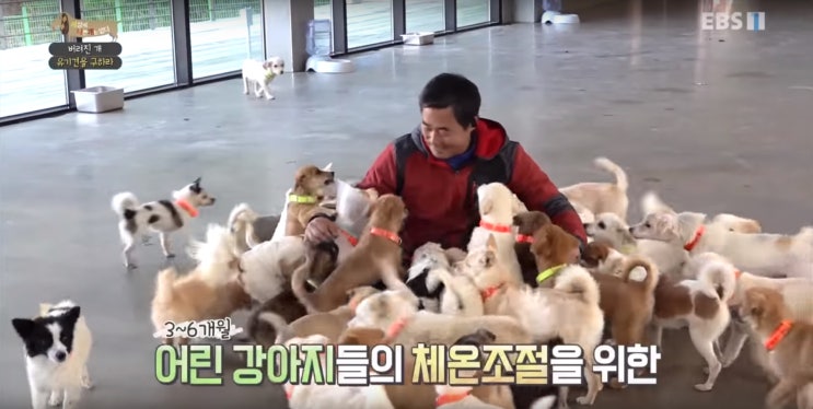  유기동물보호센터 군산유기동물보호소 신뢰 높은 곳