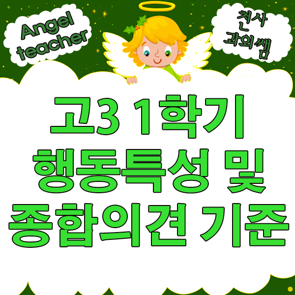  고 3 비교과의 행동특성 및 종합의견의 평가기준은 무엇인가?