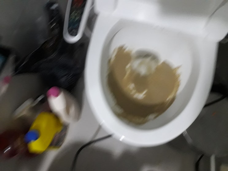  화장실 변기에 고양이 모래 넣어서 막혔을때 어떻게 뚫어요?