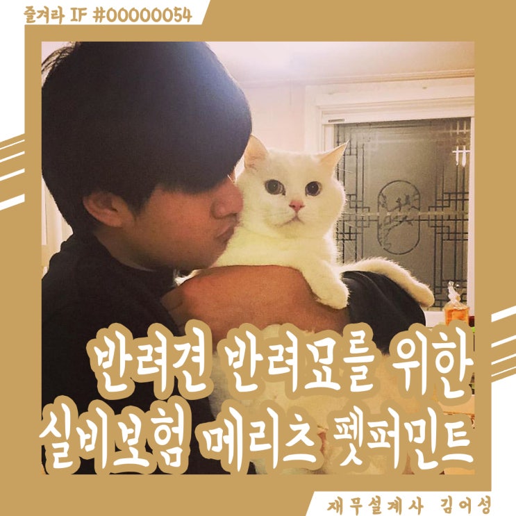  메리츠화재 펫퍼민트! 반려견 반려묘 전용 실비보험이라고?