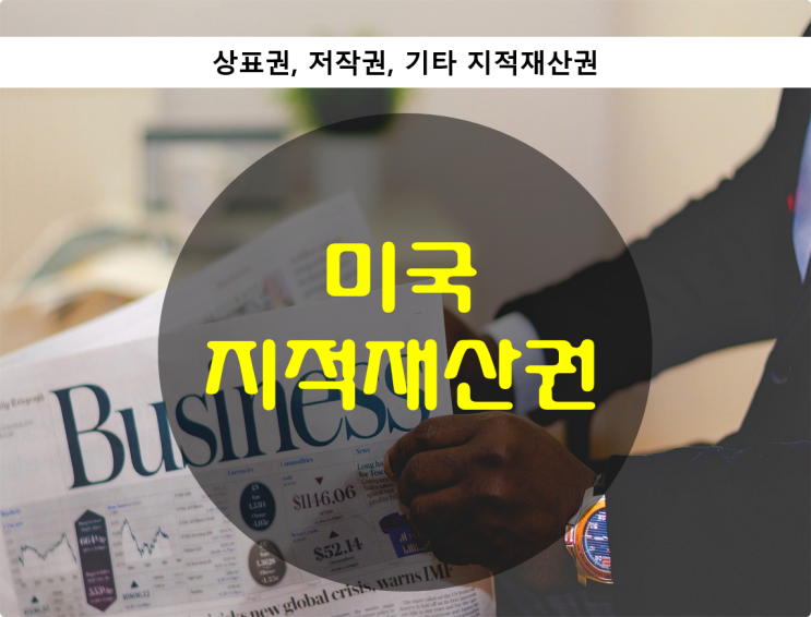  미국 지적재산권