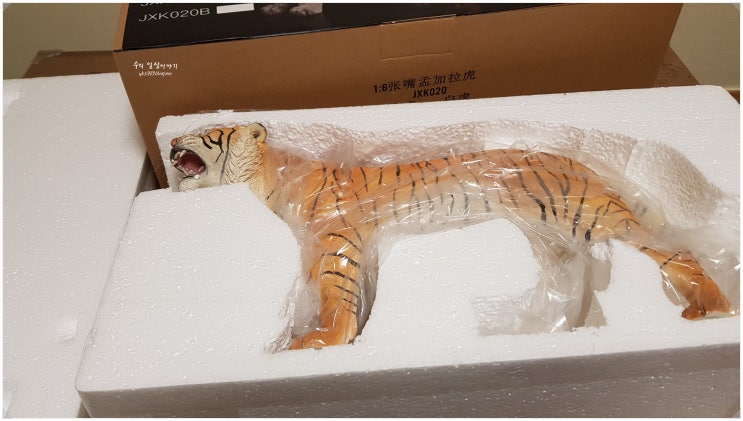  [JXK] Bengal Tiger (JXK020A) 수령기