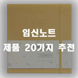  임신을 하셨다면 임신기긴동안 기록해보세요~