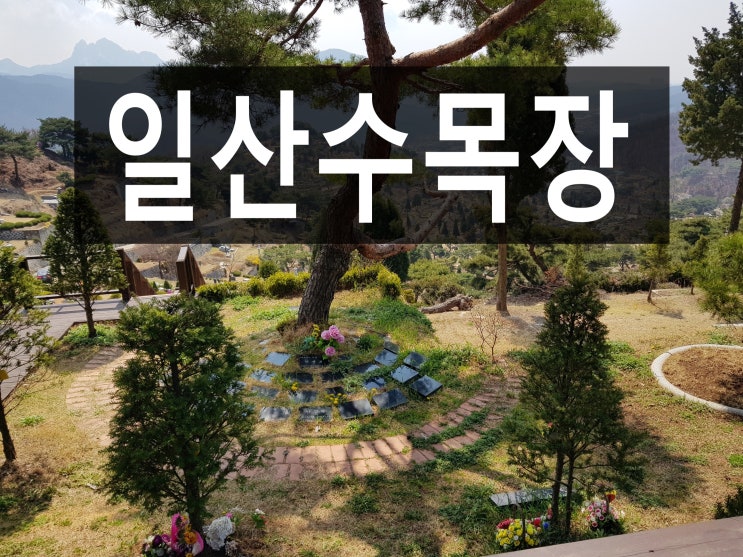  일산수목장 가족 모시기 좋은 수목장 있나요?