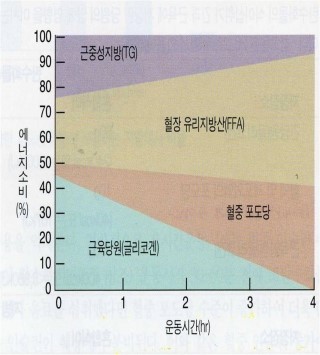  대전 헬스장 가온헬스 근육량 증가와 칼로리 섭취