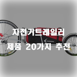  자전거트레일러로 누구보다 세련되게~
