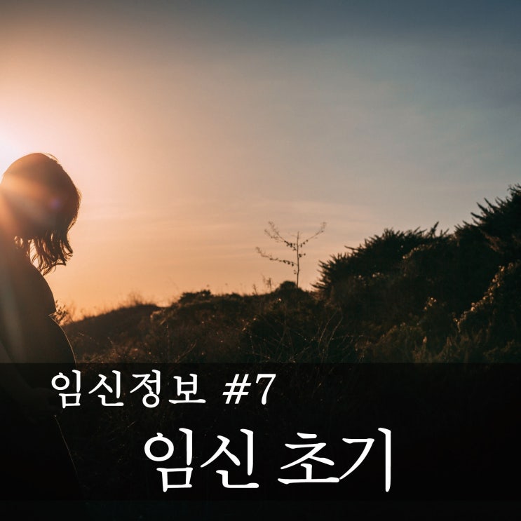  [임신정보] 예비 엄마,아빠의 임신공부  -임신 초기 (1~2개월)