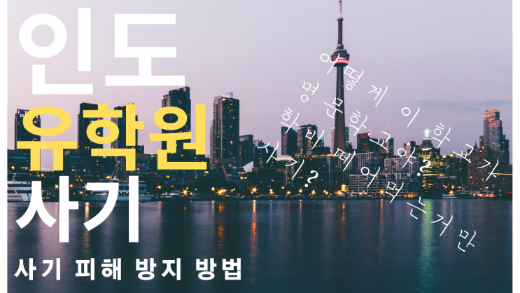  인도 유학 사기