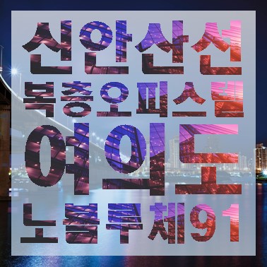  1216 부동산대책 후 더욱 주목받는 복층 오피스텔 - 여의도 노블루체 91
