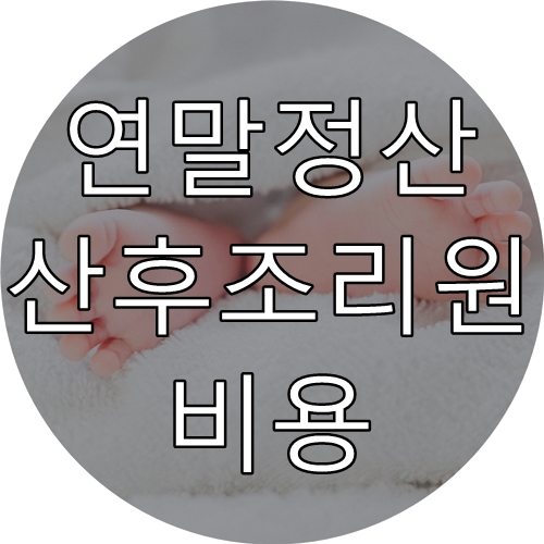  [연말정산] 산후조리원 비용 세액공제 가능할까?