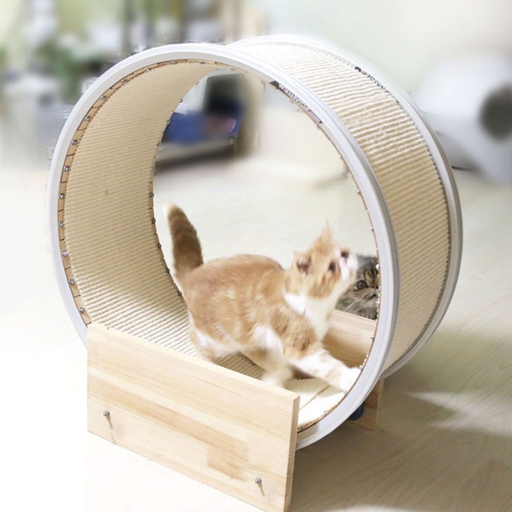 [반려동물용품]  아름다홈 고양이 쳇바퀴 캣휠 반려묘 단일상품개 색상고정 애완동물